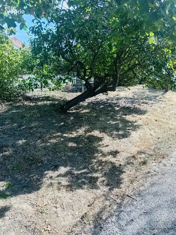 Wittenheim, maison à vendre - photo 10
