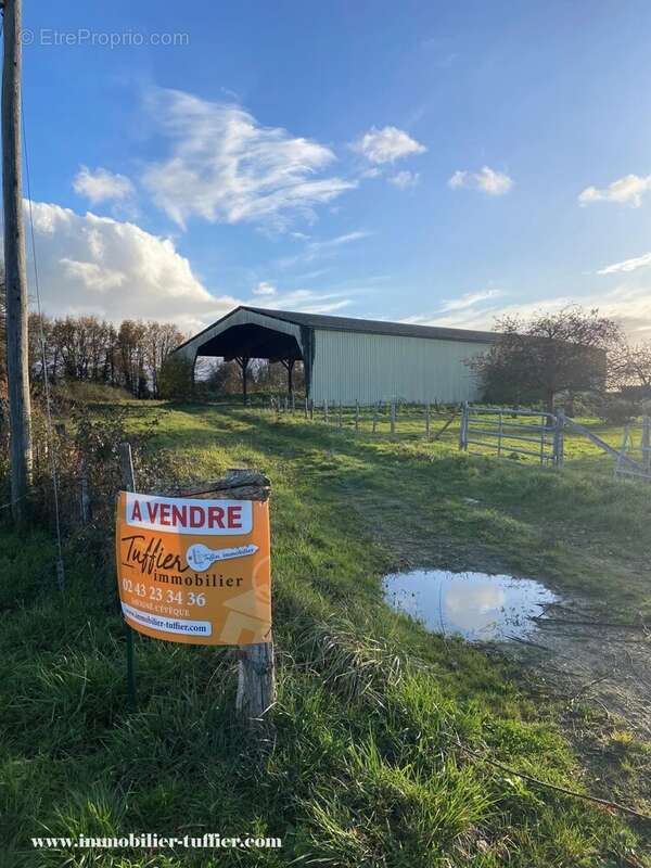 Maison à MONTFORT-LE-GESNOIS