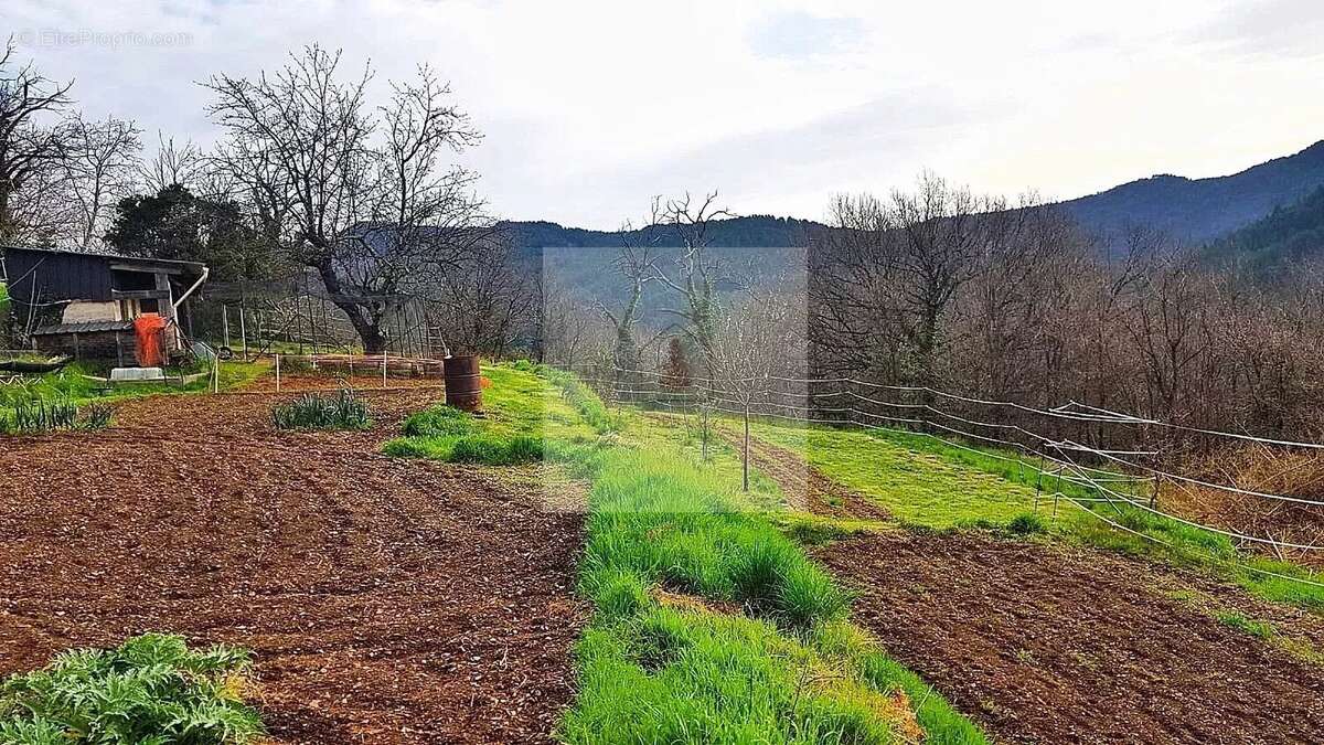 Maison à LE COLLET-DE-DEZE