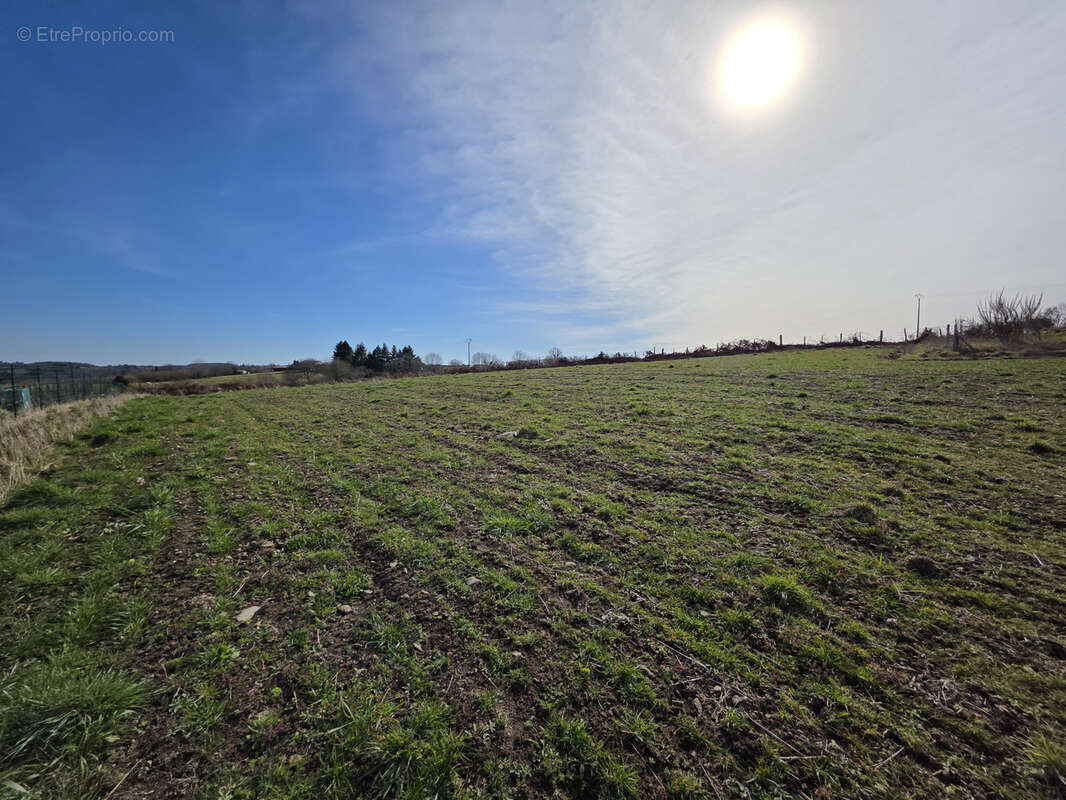 Terrain à QUEUILLE