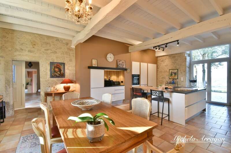 Propriete à vendre 11 pièces LACEPEDE (47) - photo 6