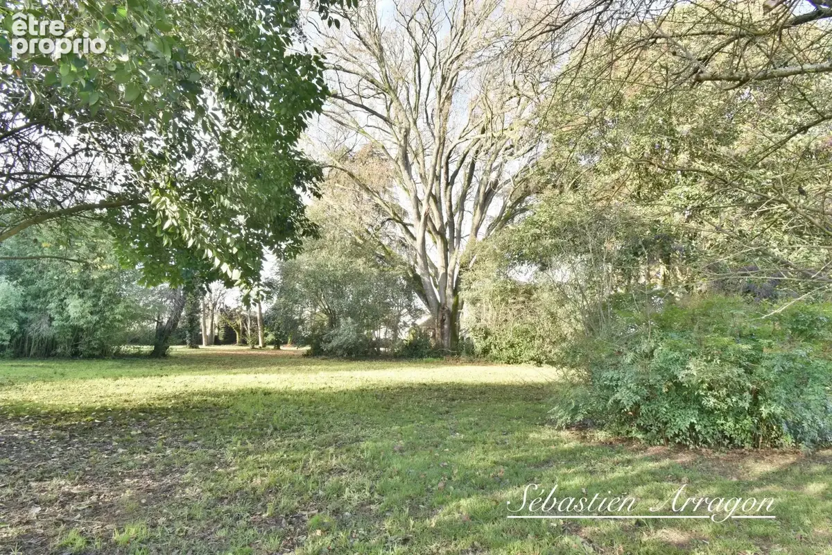 Maison de maître du XIXᵉ siècle à Villeneuve-sur-Lot – 460 m² – Parc de 8 300 m² – Piscine – Centre-ville à pied - photo 4