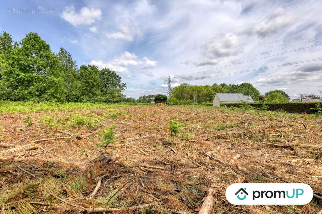 Terrain à SAINT-PHILBERT-DU-PEUPLE