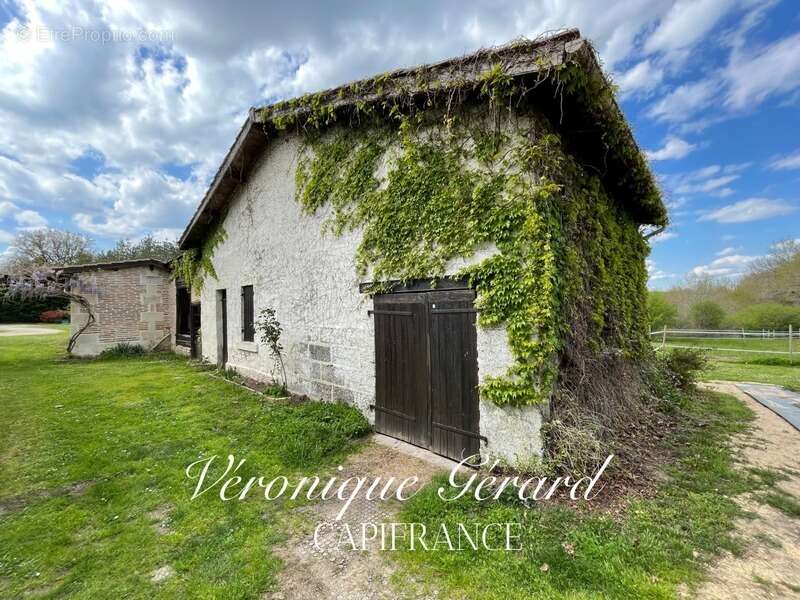 Belle Girondine avec Gîte et boxes pour chevaux à SAINT CHRISTOPHE DE DOUBLE sur 12000M² de terrain - photo 33