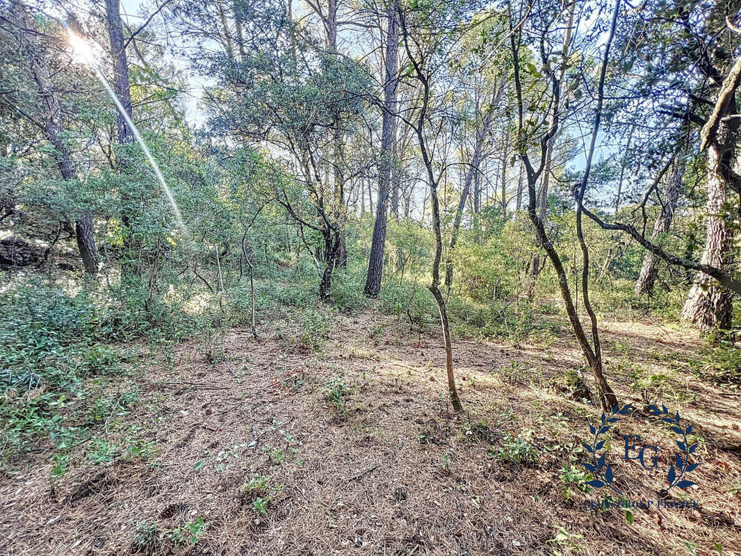 Terrain à BESSE-SUR-ISSOLE