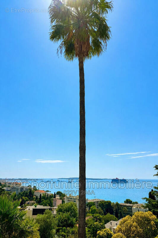 Appartement à CANNES