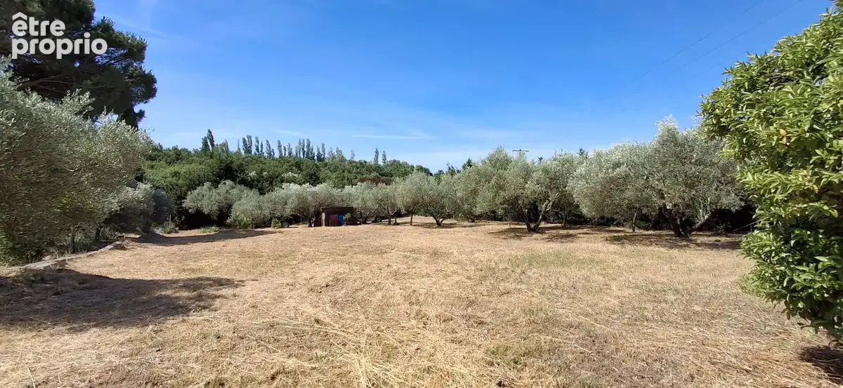 Terrain à MONTFRIN