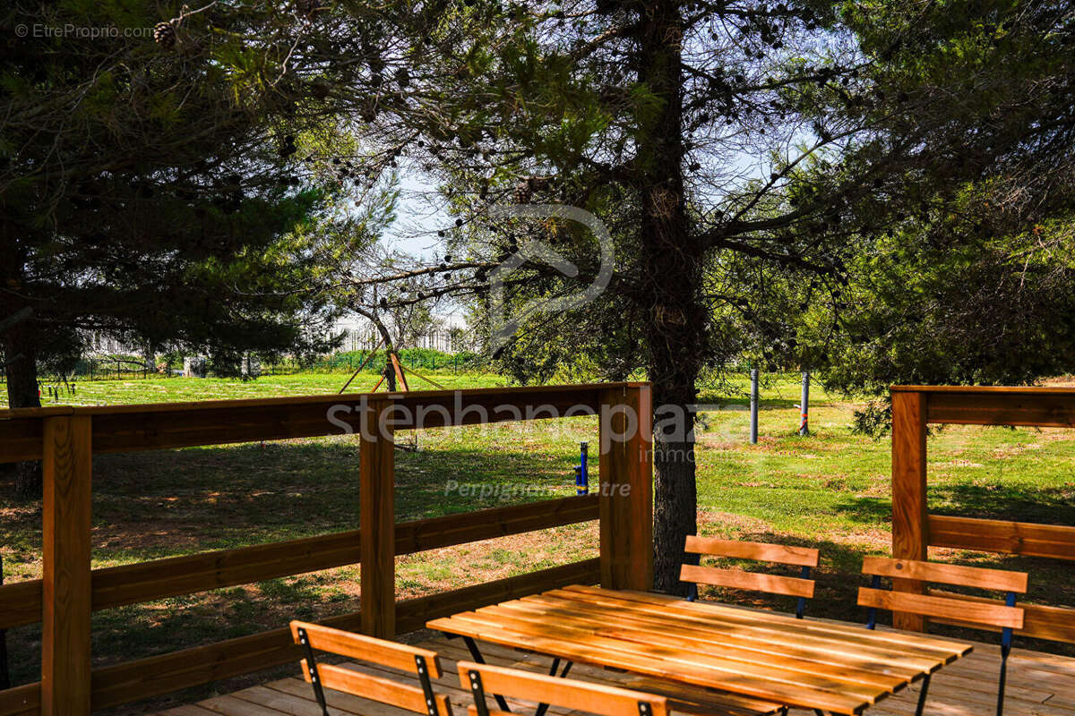 Propriété agricole de 19000m2 sur Saint Cyprien - photo 8
