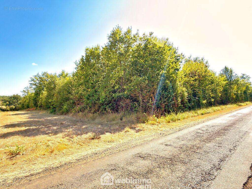 A 5 min de Lusignan, 10 min de Vivonne, - Terrain à CELLE-LEVESCAULT