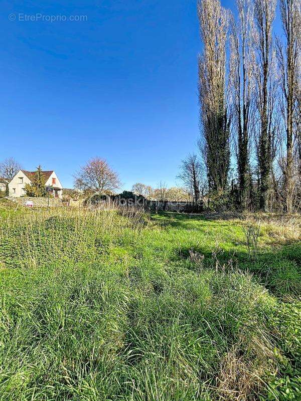 Terrain à ESSOMES-SUR-MARNE