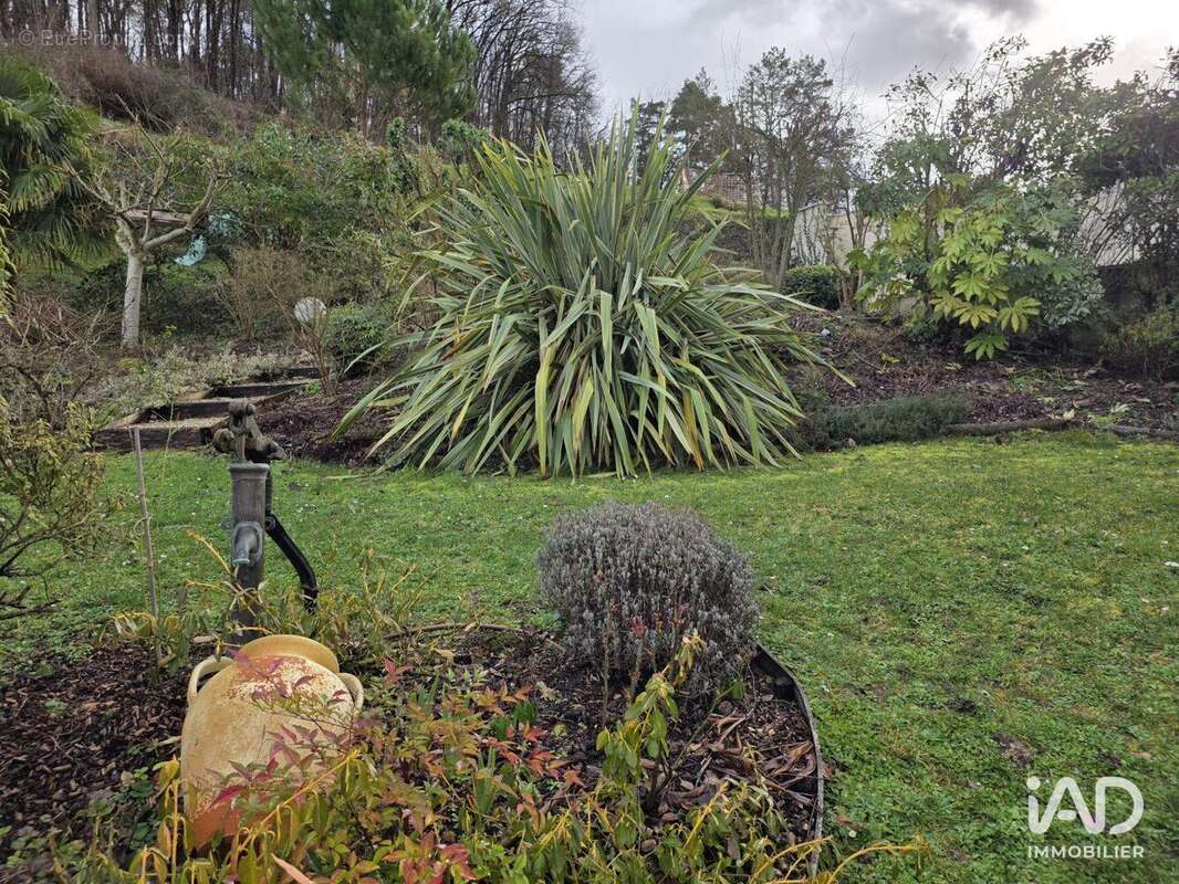 Photo 6 - Commerce à RIGNY-USSE