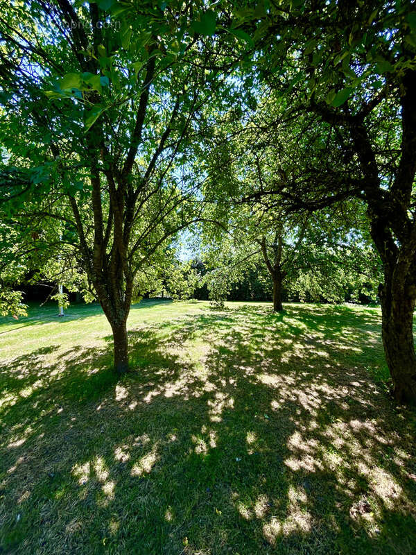 Maison à BEAULIEU-SUR-LOIRE