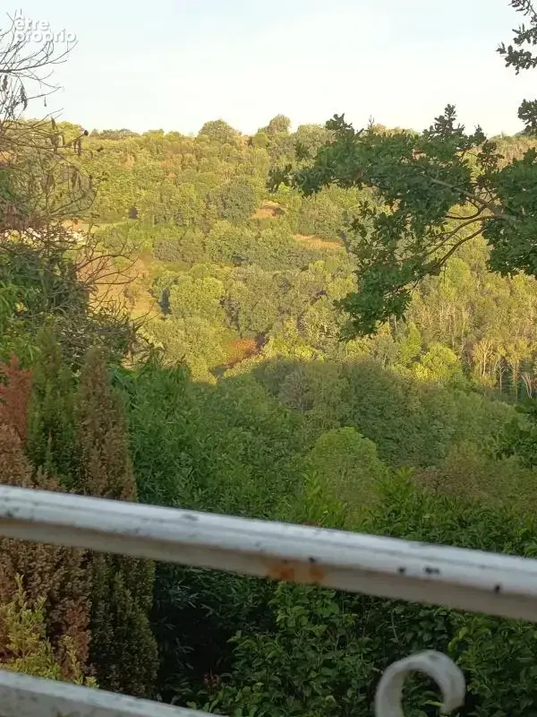 Une maison au calme avec deux espaces de vie - photo 3