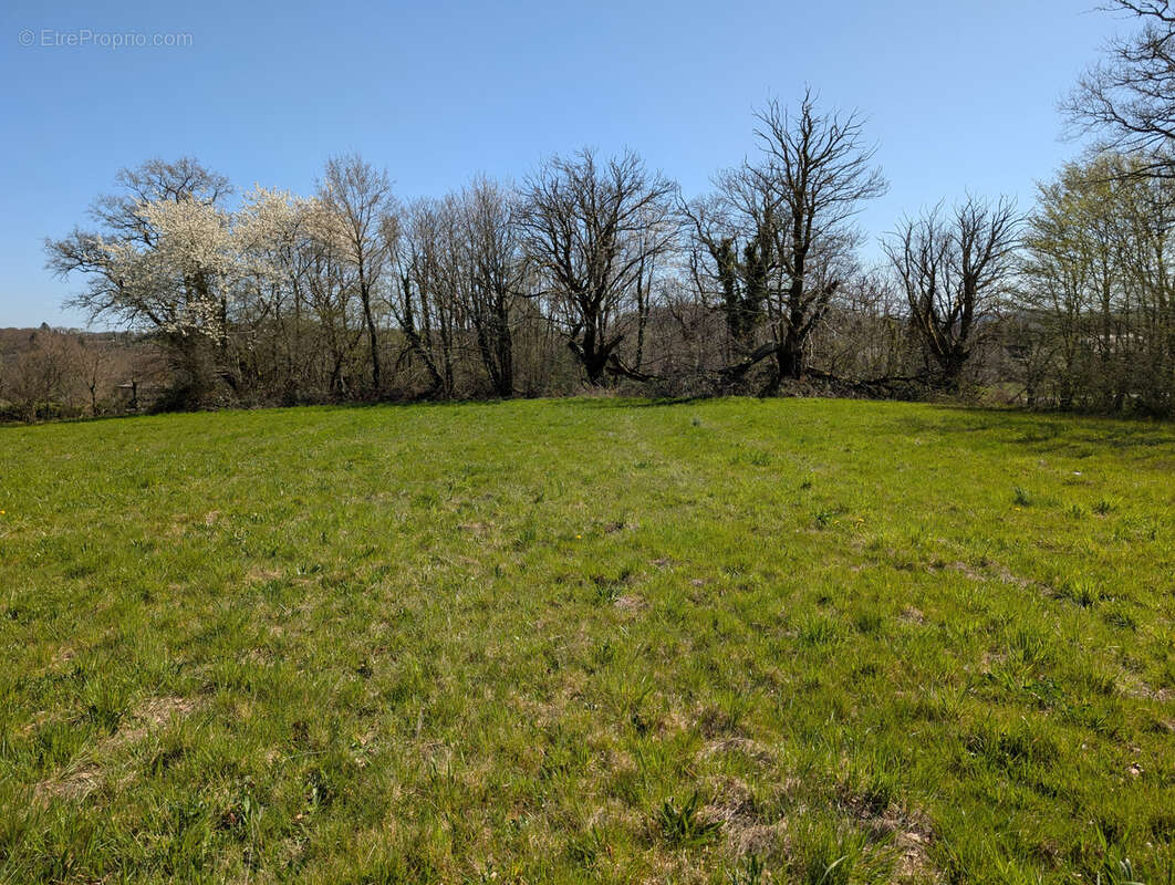 Terrain à LE LONZAC