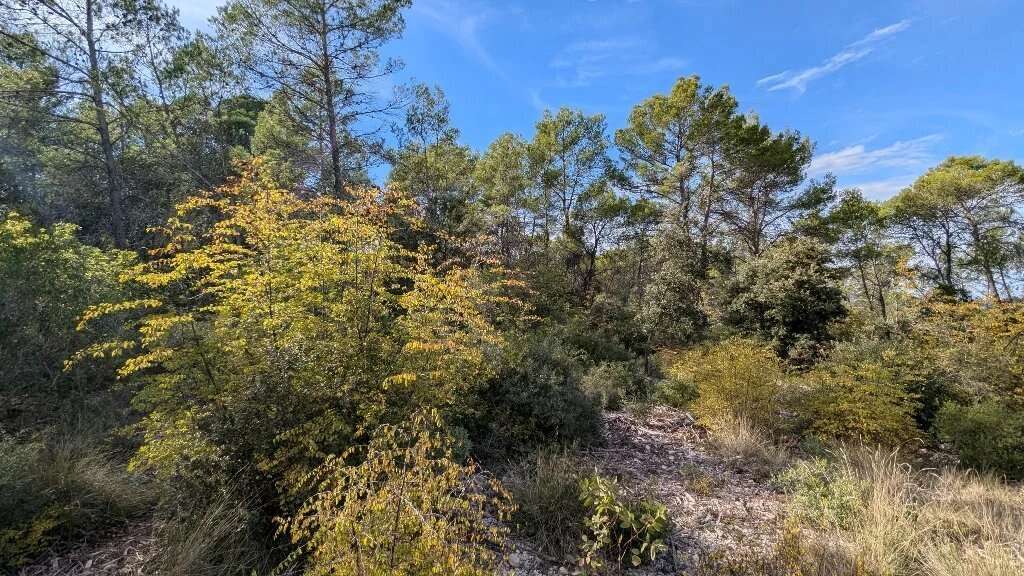 CARCES - Terrain non constructible 9.696m² boisé - photo 2