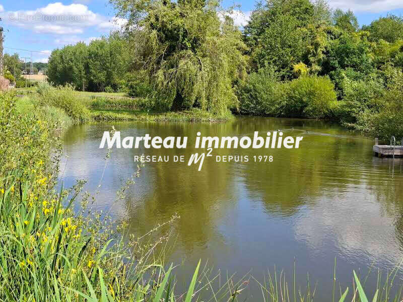 Terrain de loisirs - photo 2