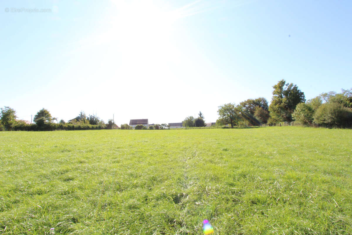 Terrain à LA CHARITE-SUR-LOIRE