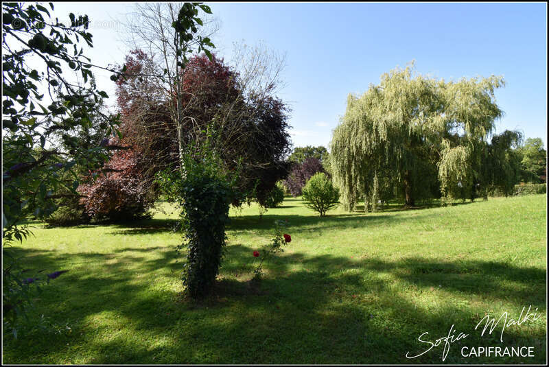 Maison à CHASSIGNOLLES