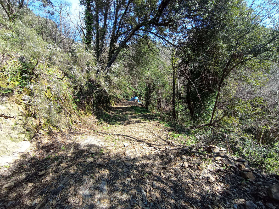 Maison à SAINT-ROMAN-DE-CODIERES
