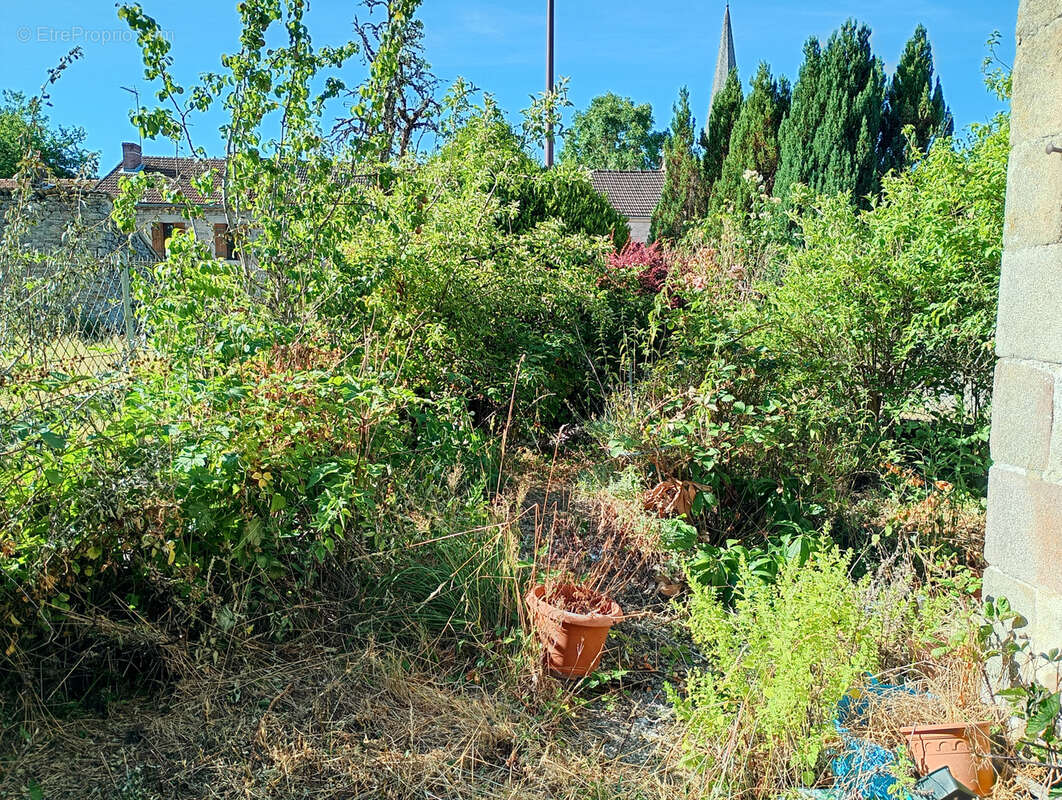 Maison de village de 60m2 sur 265 m2 de terrain - photo 14