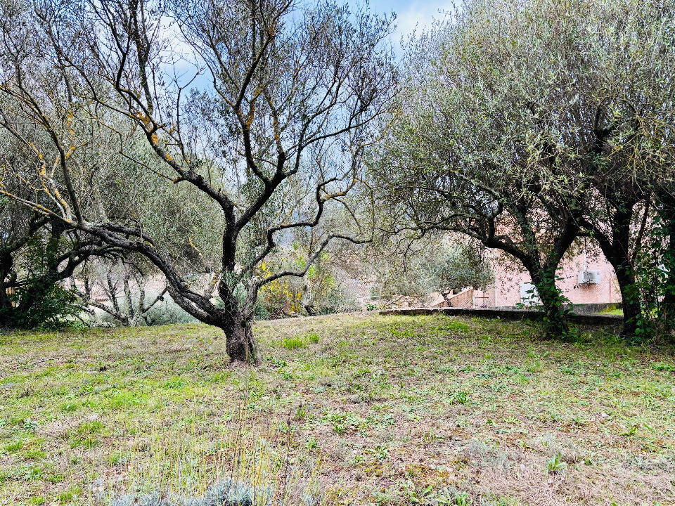 Terrain à PIGNANS
