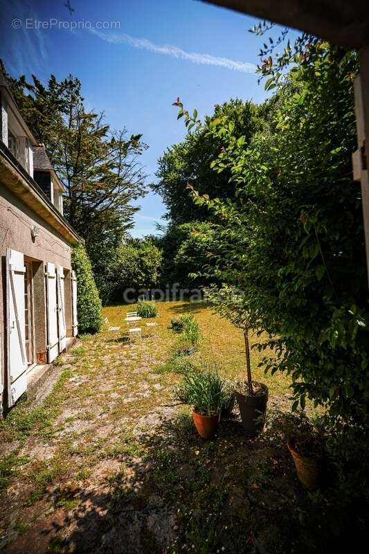 Maison de famille a deux pas de la plage du Ris à DOUARNENEZ (29) - photo 17