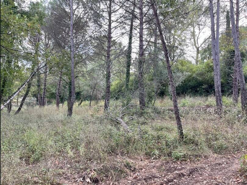 Terrain à TOURRETTES