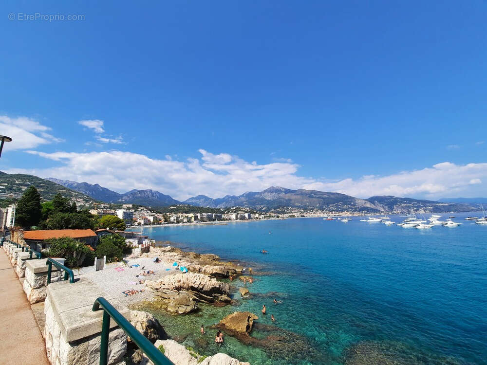 Commerce à ROQUEBRUNE-CAP-MARTIN