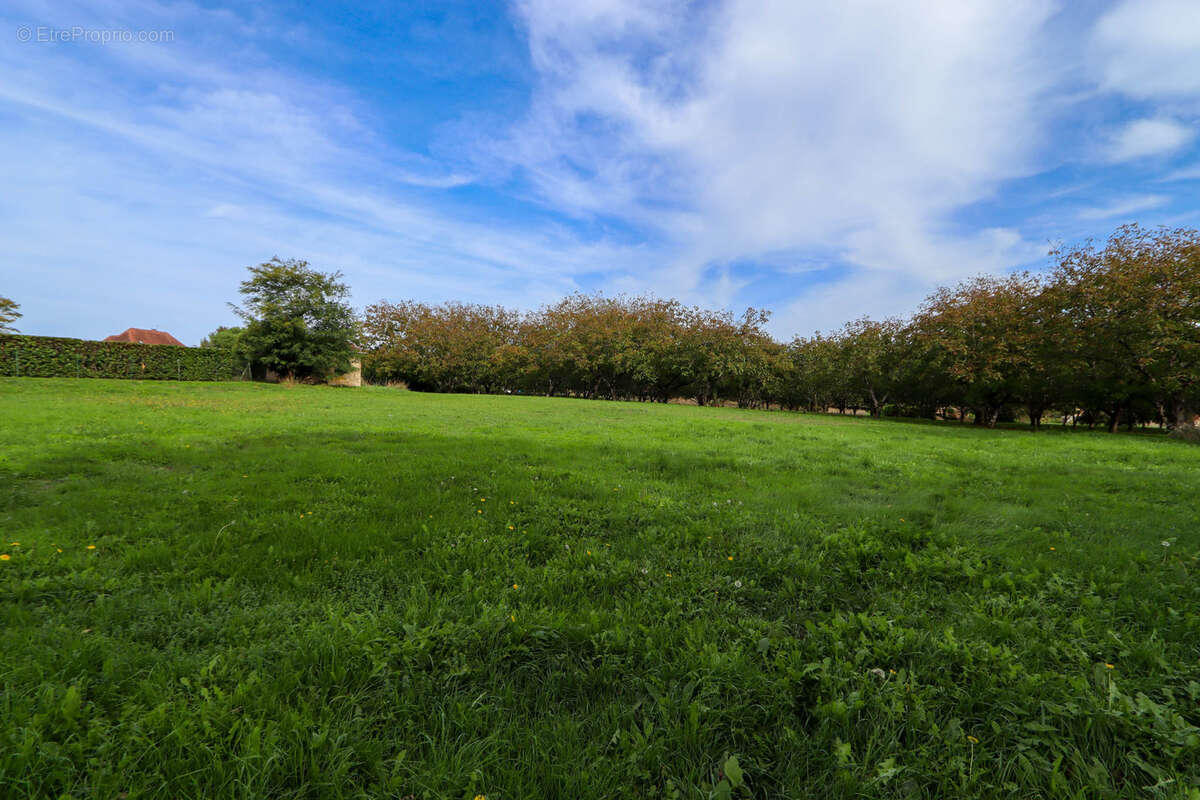 Terrain à SALIGNAC-EYVIGUES