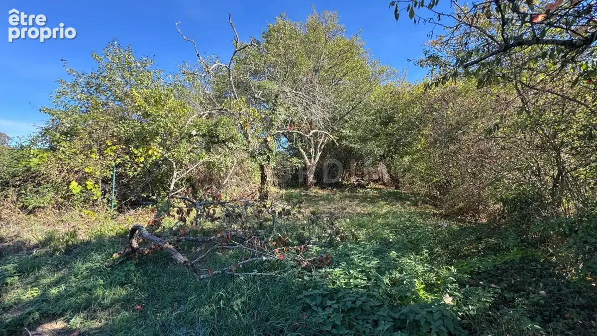 Belle opportunité pour cette maison d'env. 49 m² habitable sur son terrain de 840 m². - photo 9