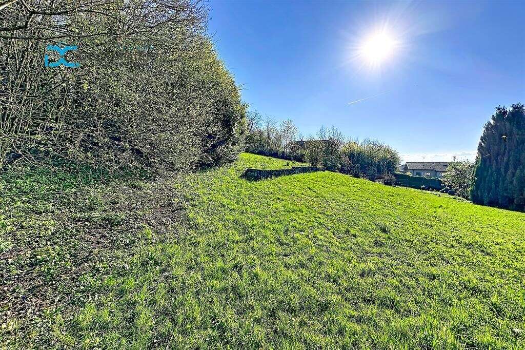 Marin - terrain 1010 m² - photo 6
