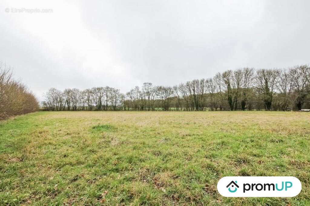 Terrain à CHAILLOUE