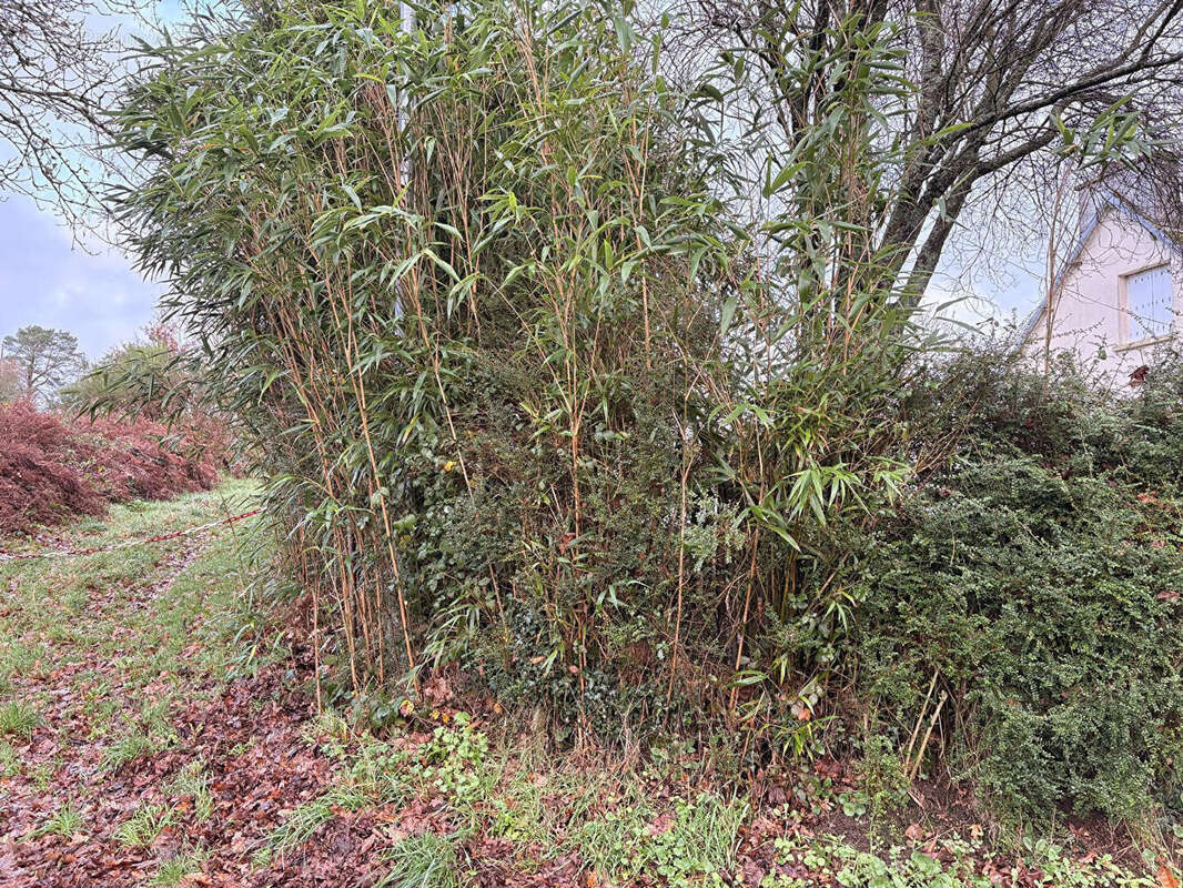 Terrain à GUERLESQUIN