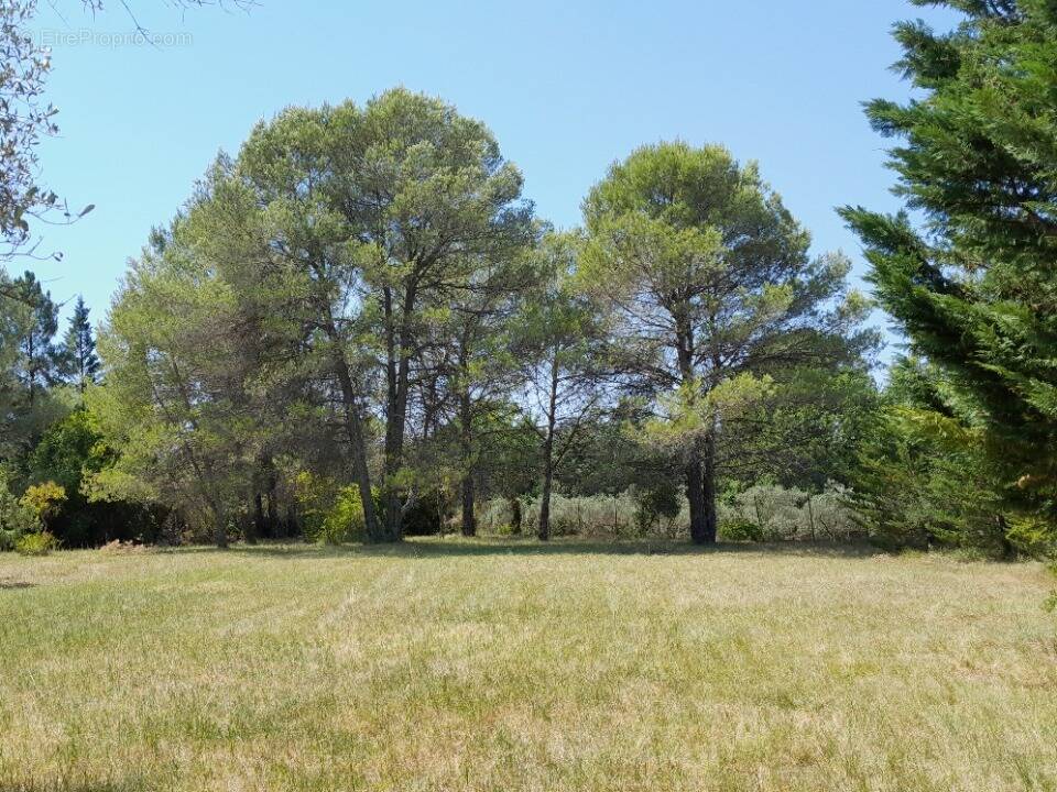 Terrain à LE VAL