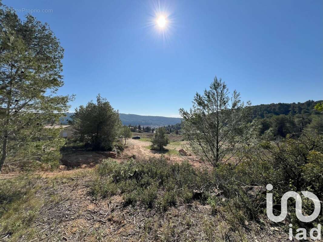 Photo 2 - Terrain à BIZE-MINERVOIS