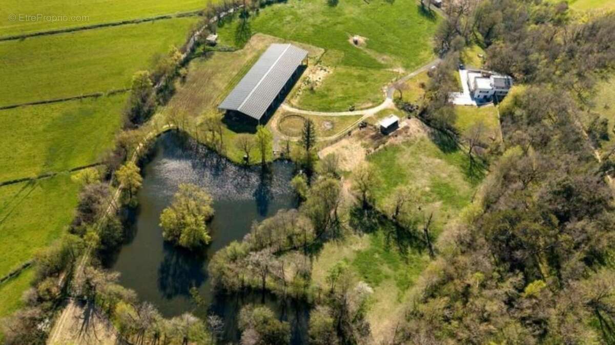 Photo 3 - Maison à TOULOUSE