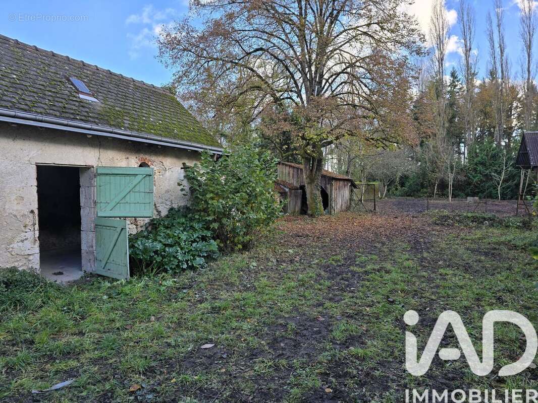 Photo 3 - Maison à CHOUZY-SUR-CISSE