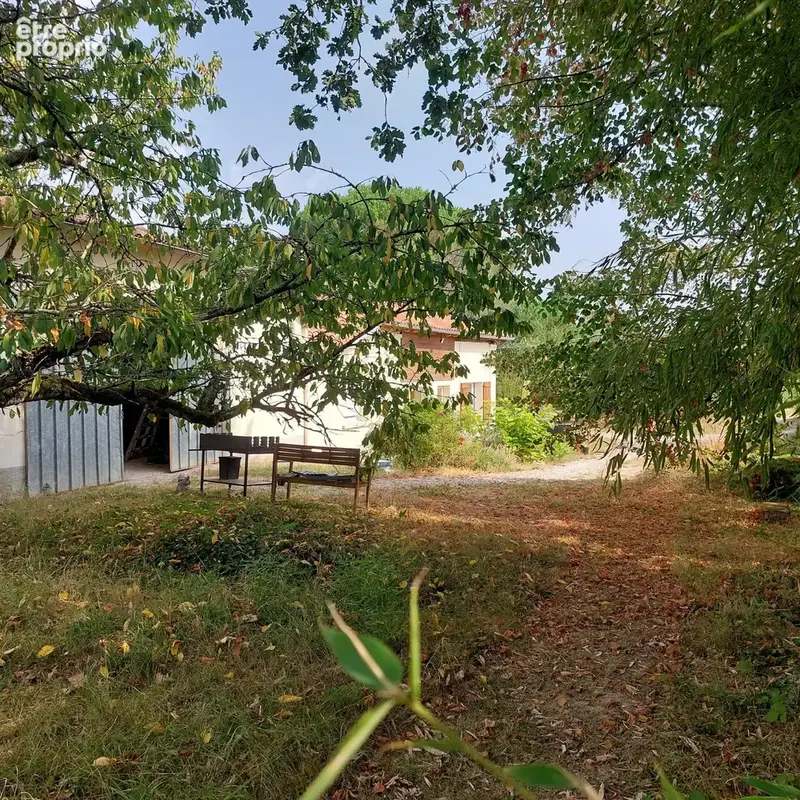 Maison à vendre 7 pièces MONTAUBAN (82) avec hangar de 150m², 6861m² de terrain avec une partie boisée - photo 23