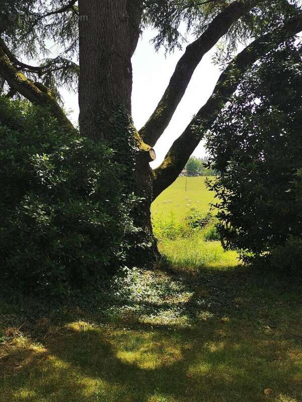 Photo 6 - Maison à MARGOUET-MEYMES