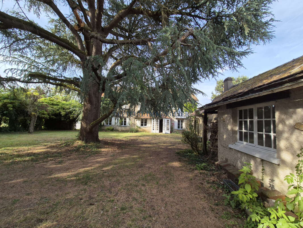 Maison ancienne ancienne avec dépendances. 360 m2 habitables sur 5 790 m2 de terrain. - photo 3