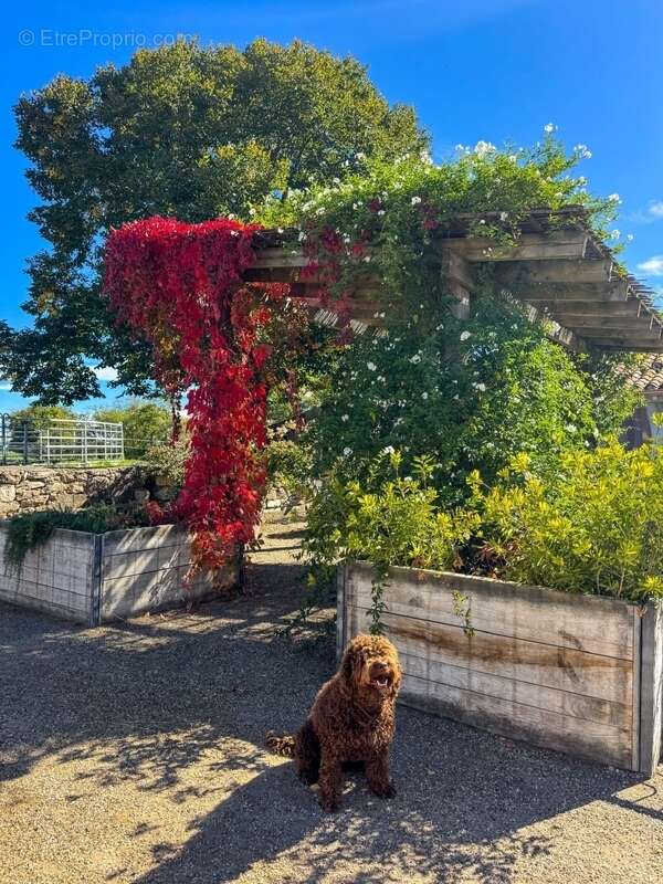 Maison à TOURNON-D&#039;AGENAIS