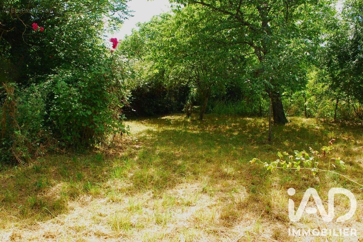 Terrain 3473 m² à Carla-De-Roquefort  - photo 6