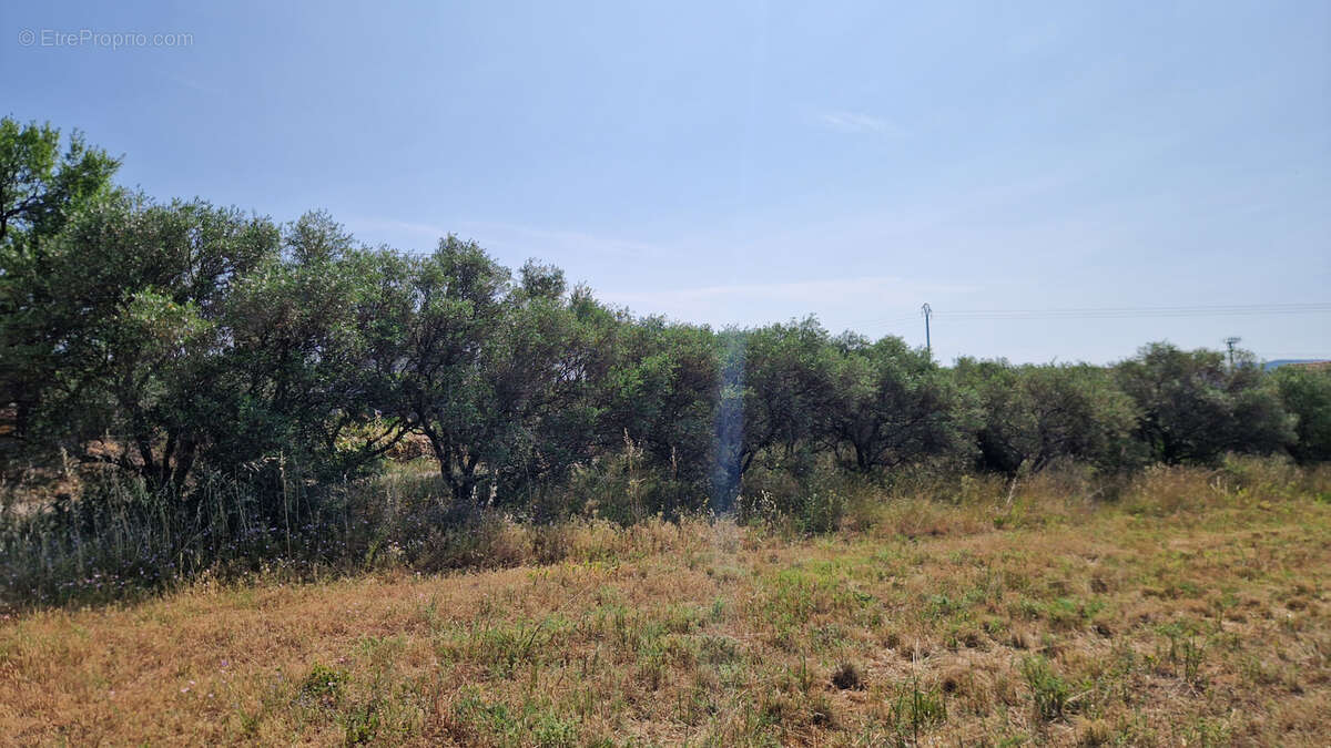 Terrain à SAINT-JEAN-DE-FOS