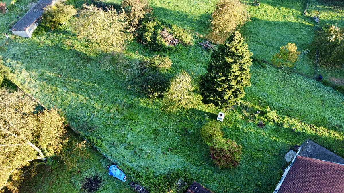 Terrain à DAMMARTIN-MARPAIN