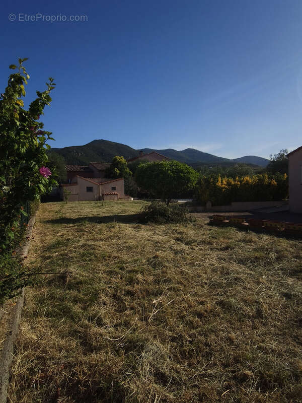 Maison à LAROQUE-DES-ALBERES