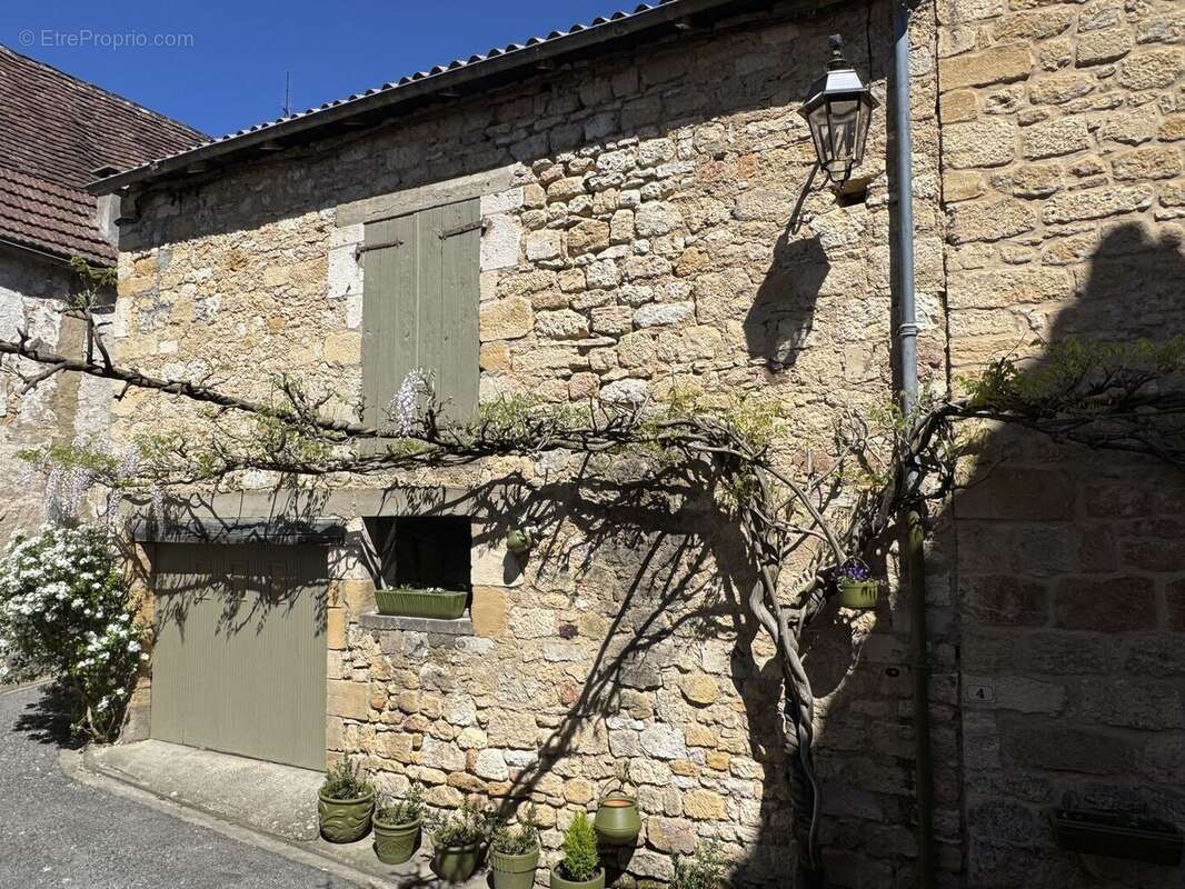 IMG2399 - Maison à SAINT-CYPRIEN