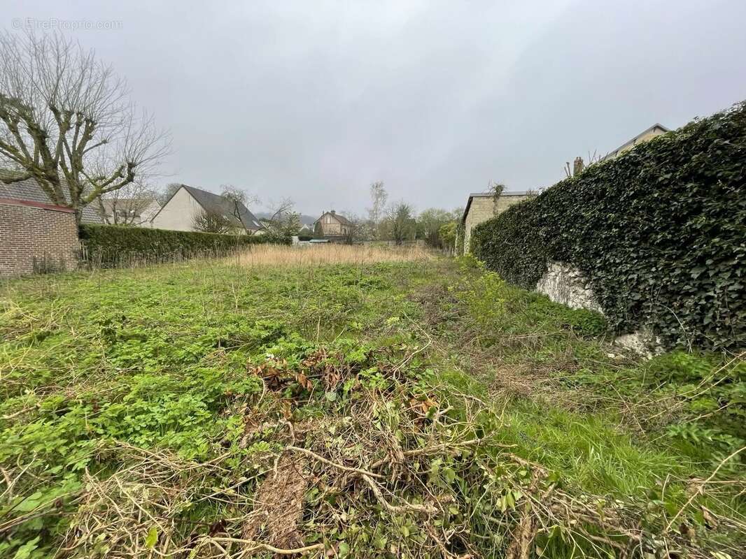 Terrain à MAFFLIERS