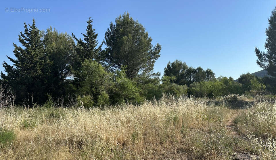 Terrain à CUERS