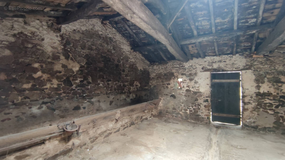 Maison à SAINT-HILAIRE-DE-CHALEONS