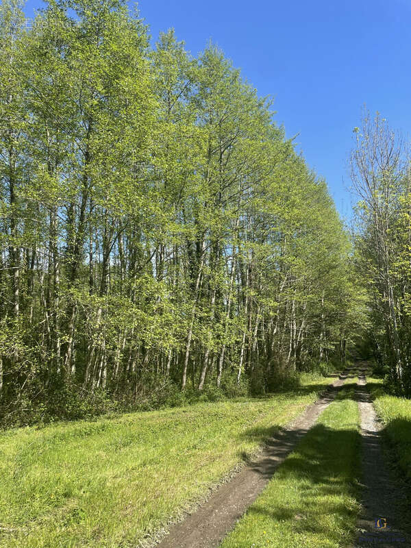 Maison à SAUVETERRE-DE-BEARN
